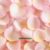 Pink rose petals